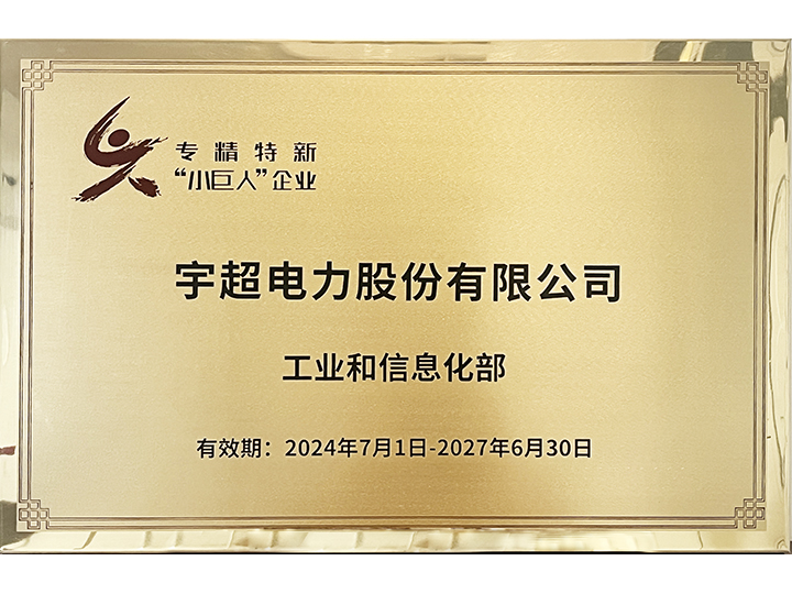 专精特新小巨人企业
